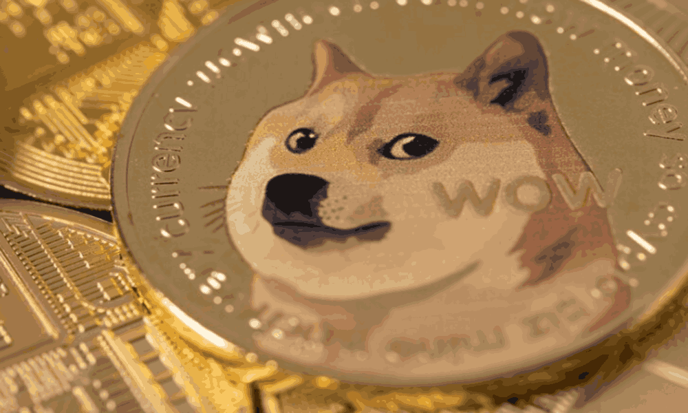 dogelon coin 