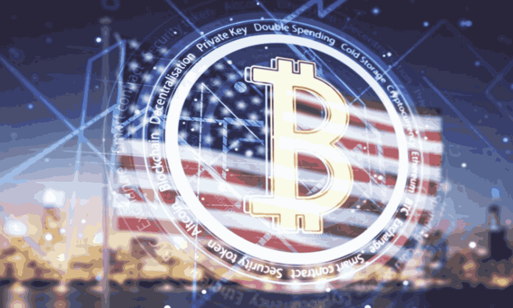 Logo Bitcoin su bandiera americana
