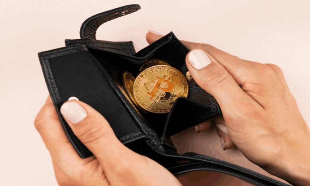 Bitcoin portafogli di investimento tradizionali